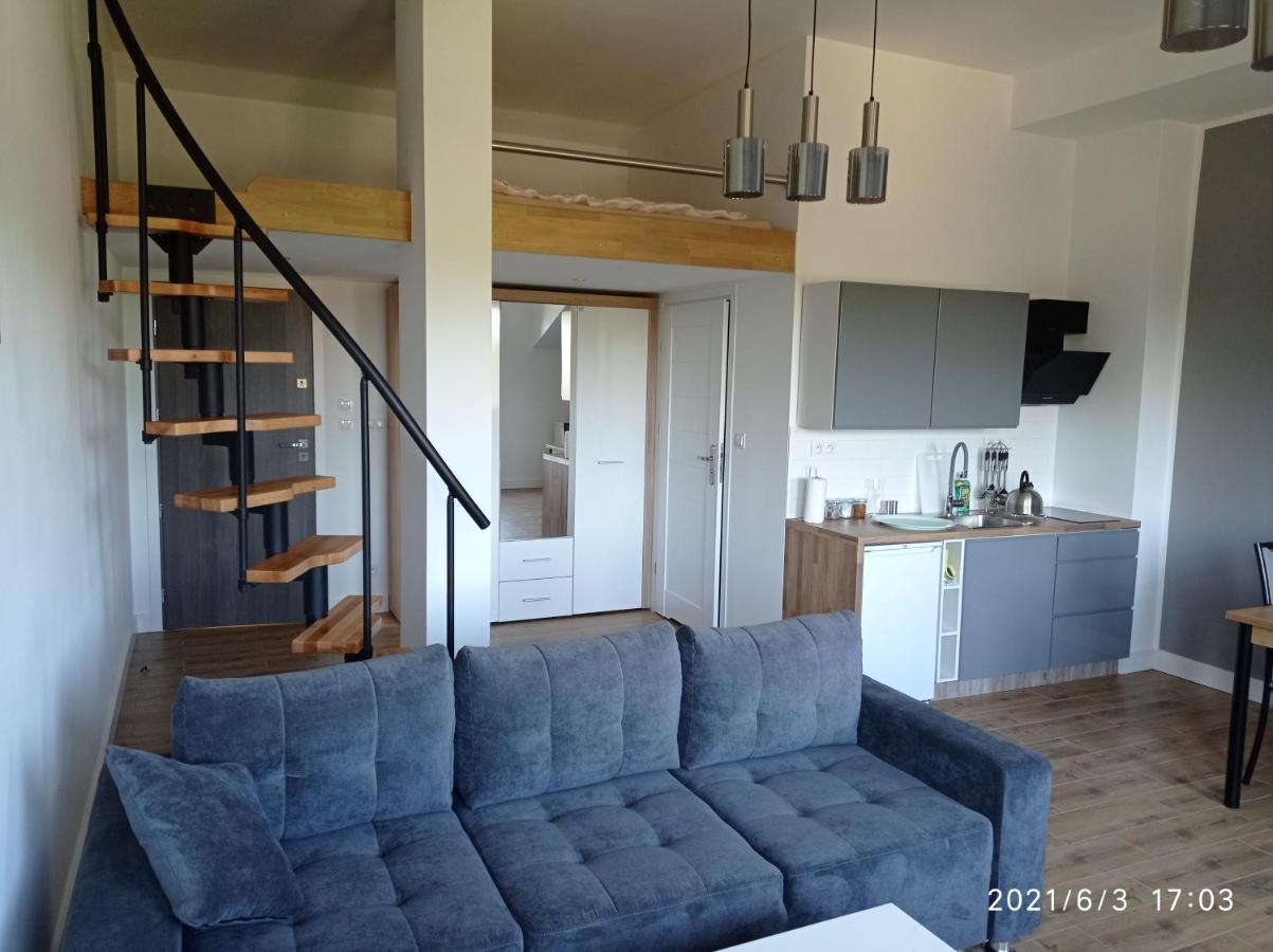 Apartamenty Kasztanowa Zator Zewnętrze zdjęcie