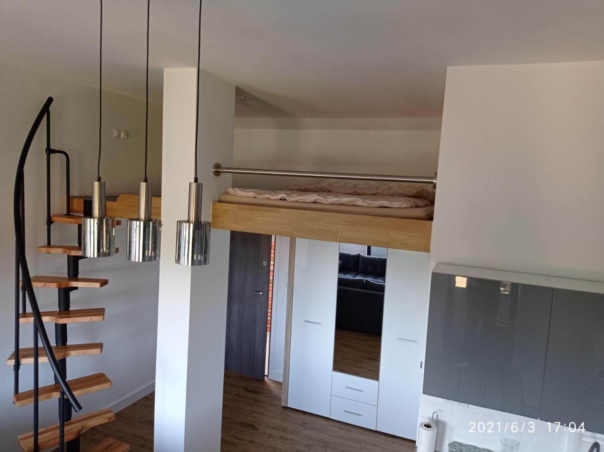 Apartamenty Kasztanowa Zator Zewnętrze zdjęcie