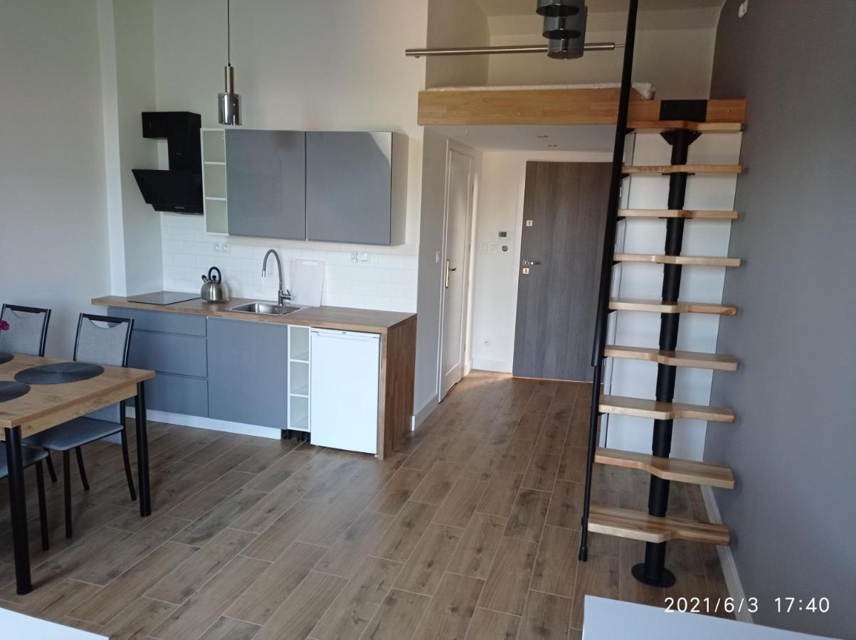 Apartamenty Kasztanowa Zator Zewnętrze zdjęcie