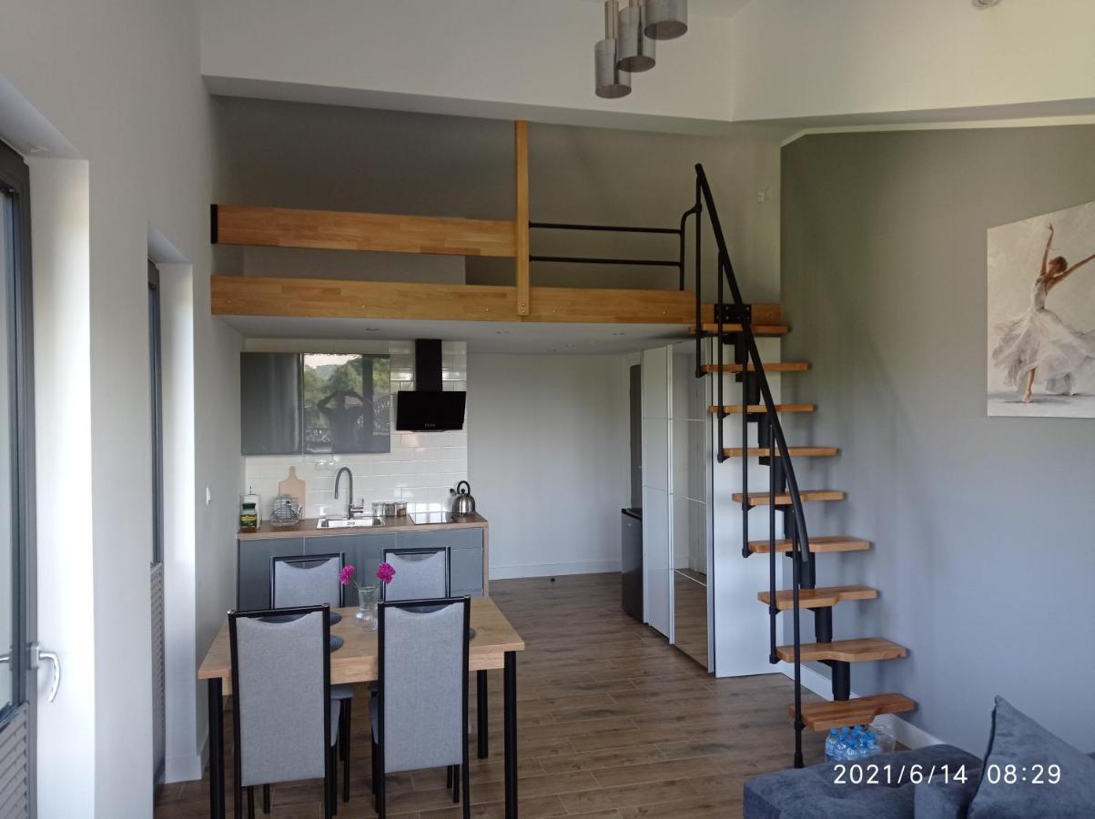 Apartamenty Kasztanowa Zator Zewnętrze zdjęcie